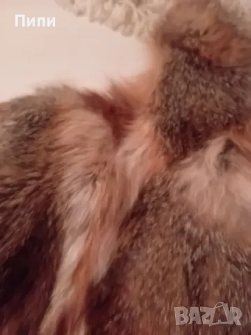 дамско палте от лисица, леко и топло , снимка 2 - Палта, манта - 47905612