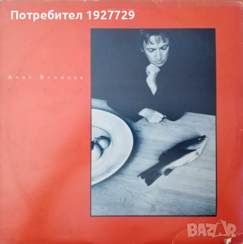 Грамофонни плочи за ценители, снимка 11 - Грамофонни плочи - 52178702