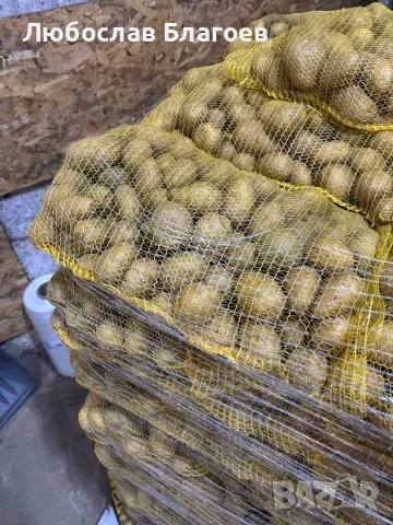Пакетирани картофи на по 10 кг., снимка 3 - Домашни продукти - 55875873