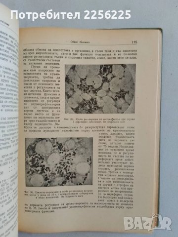 Специална патологична анатомия, снимка 6 - Специализирана литература - 47490414