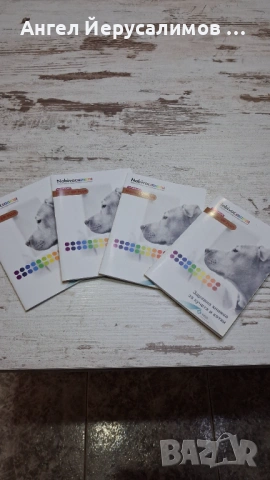 Уникални кученца френски булдог. , снимка 10 - Френски булдог - 53716204