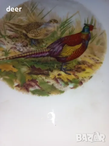 Порцеланова чиния с картинка