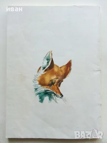 Приключенията на Пинокио - Карло Колоди - 1980г., снимка 10 - Детски книжки - 50222975