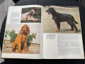 Кинология - книги и списания за кучето и котката, снимка 3