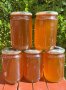пчелен мед , снимка 1 - Пчелни продукти - 42055485