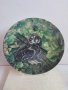 Декоративна чиния "Късоухата сова", снимка 1