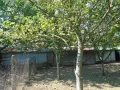 Продавам къща с 2.5 дка двор в село Селановци, снимка 9