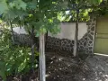 Продавам къща в с.Царимир, снимка 9