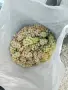 Гроздe Мускат Отонeл 🍇 , снимка 4