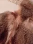 дамско палте от лисица, леко и топло , снимка 2