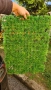 Промо изкуствена трева пано 60/40, снимка 10
