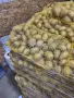 Пакетирани картофи на по 10 кг., снимка 3