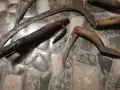 Различни стари предмети, снимка 3