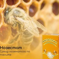 Нозестат разтвор срещу нозематоза при пчелите, снимка 6 - Други стоки за животни - 22716116