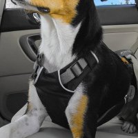 Ruffwear Load Up Harness автомобилен нагръдник за кучета, снимка 10 - За кучета - 40767520