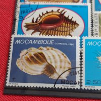 Пощенски марки смесени серий МОРСКИ СВЯТ РИБИ,РАКОВИНИ,МИДИ много красиви 37890, снимка 10 - Филателия - 40445068