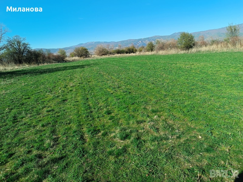 Продавам земеделски имоти в землището на гр.Сапарева баня.От собственик!, снимка 1