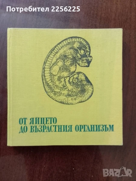 От яйцето до възрастния организъм, снимка 1