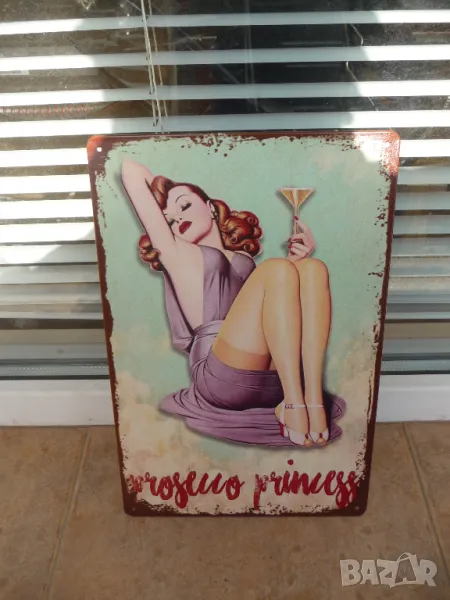Метална табела еротика принцеса коктейл рокля мацка секси обувки , снимка 1