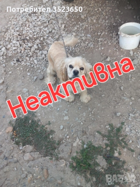 Продава се , снимка 1