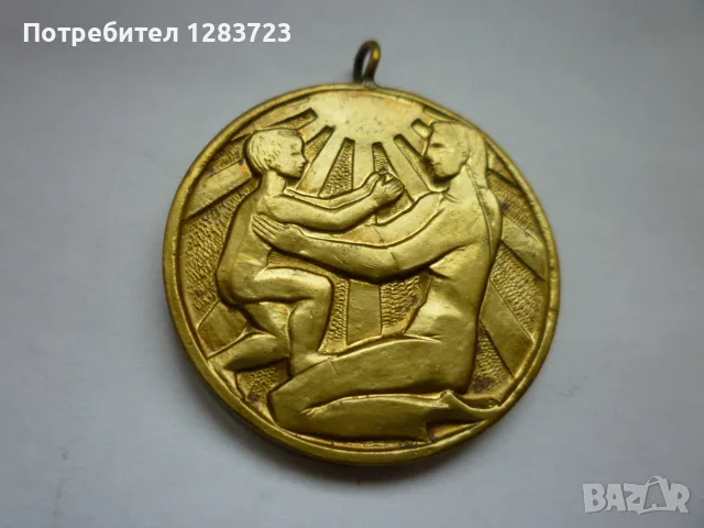 Знак Медал Орден, снимка 2 - Антикварни и старинни предмети - 56041252