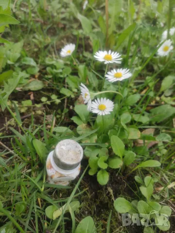 Кремъ Леда , снимка 4 - Други ценни предмети - 50022515