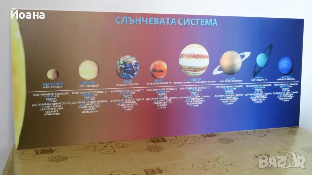 Лот от 6 картини в размер 25х35 см за детска стая, животни, пвц пана със закачалки, снимка 14 - Други - 48902066