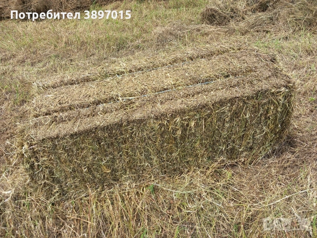 Продавам малки бали люцерна сено и слама с.Лозен обл Хасково телефон 0878509034, снимка 2 - За селскостопански - 53808032