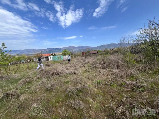 1.3 дк Двор / Парцел в Казанлък за Строеж на Къща. Дворно Място Вилна Зона "Старите Лозя" и Тюлбето