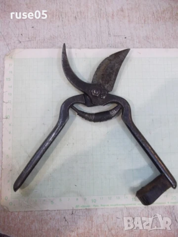 Ножица "KUNDE & Cie REMSCHEID" лозарска стара, снимка 7 - Други ценни предмети - 50919958