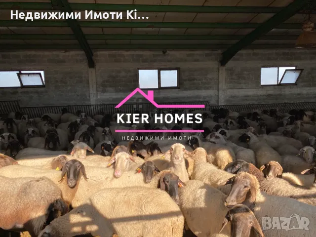 Продавам овцеферма в село Голямо Асеново , област Хасково, снимка 2 - Земеделска земя - 48113118