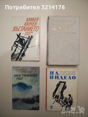 На видело - Радослав Михайлов 