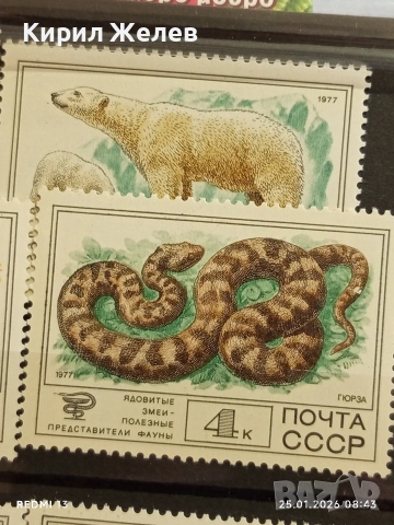 Стари пощенски марки чисти без печат СССР редки за КОЛЕКЦИЯ ДЕКОРАЦИЯ 52005, снимка 4 - Филателия - 53217436