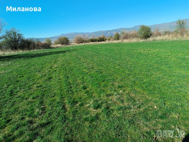 Продавам 25 дка. земеделска земя в землището на гр.Сапарева баня.От собственик!, снимка 15 - Земеделска земя - 52417070