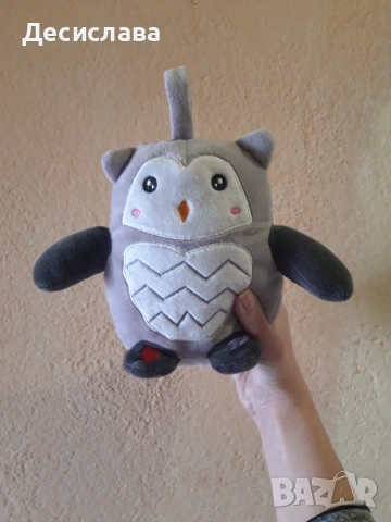 Образователен бухал