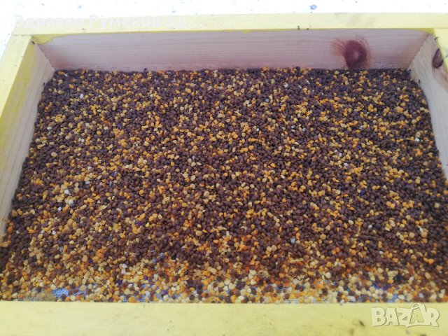 Пчелен прашец - 2025 година, снимка 7 - Пчелни продукти - 41354145