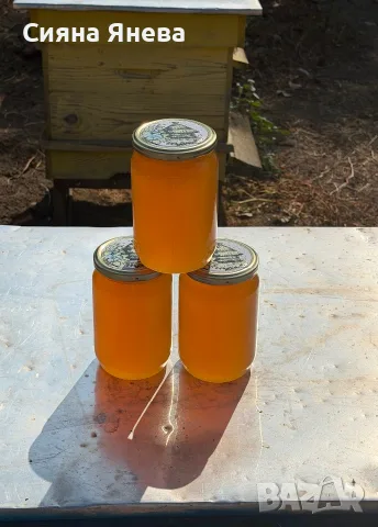 Чист Пчелен Мед, снимка 5 - Пчелни продукти - 55799544