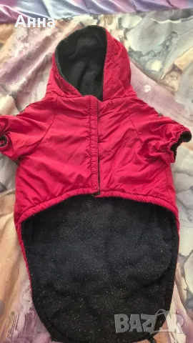 яке за куче, снимка 7 - За кучета - 47495407