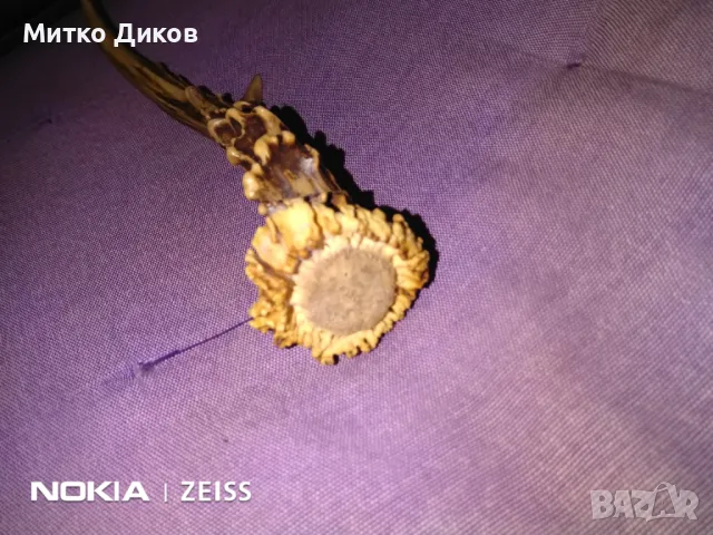 Дръжка за нож от еленов рог 225мм на 20мм отлична, снимка 7 - Ножове - 48001087