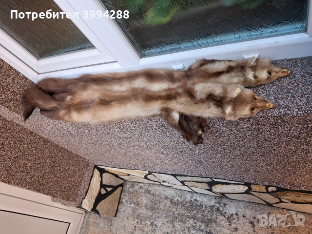 Яка от невестулка, снимка 3 - Шалове - 53665656