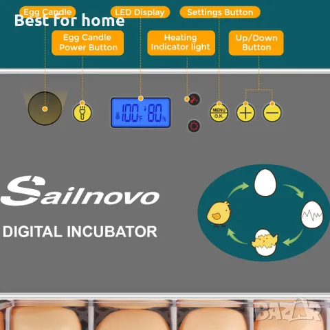Инкубатор автоматичен Sailnovo 20 яйца, снимка 3 - За селскостопански - 47326759