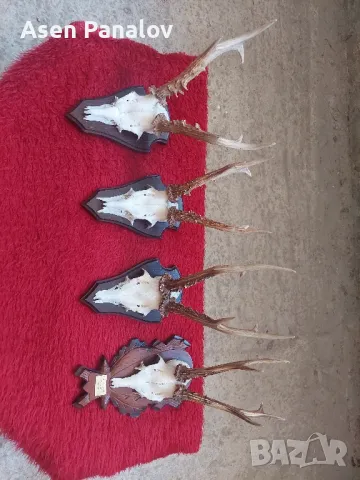 Трофей 4 бр, снимка 2 - Колекции - 50307684