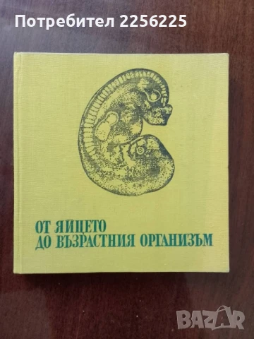 От яйцето до възрастния организъм