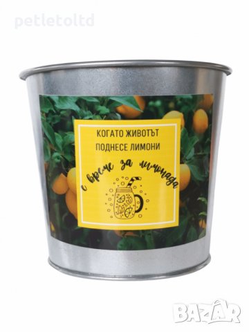 СЕТ весели кашпи за градината (микс от 9 бр) , снимка 4 - Саксии и кашпи - 39835776