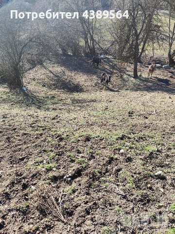 Парцел, снимка 9 - Парцели - 53752352