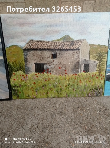картини платно, снимка 5 - Картини - 51710672