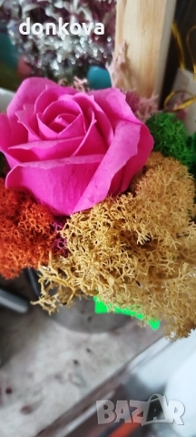 декорации ръчно изработени от жив скандинавски мъх и сапунени рози., снимка 14 - Декорация за дома - 52206005