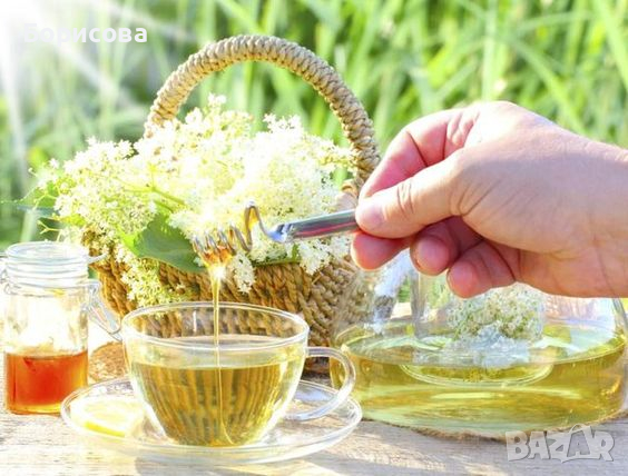 Продавам бъз сушен от чисти места - подходящ за чай , снимка 3 - Домашни продукти - 36235438