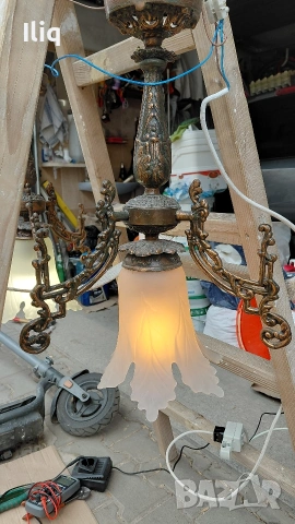 полилей два броя на цената на един. , снимка 2 - Други - 53725707