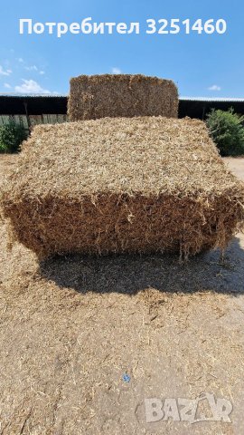 Бали Грах, снимка 14 - Крави - 41513993